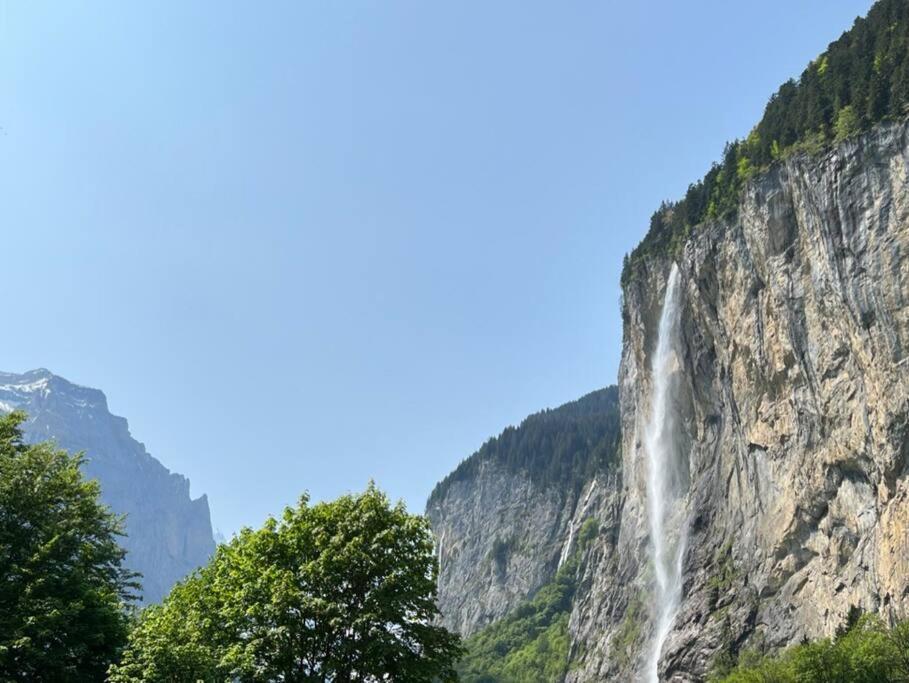 Chalet Maithili Lauterbrunnen -152-Year-Old Majestic Chalet Exteriör bild